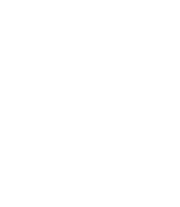 Logotipo de Louisse Makeup, cliente de EMCWEB